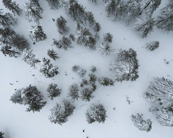 Winter Poster featuring the photograph Drone aerial scenery of mountain snowy forest and people playing in snow. Wintertime season by Michalakis Ppalis