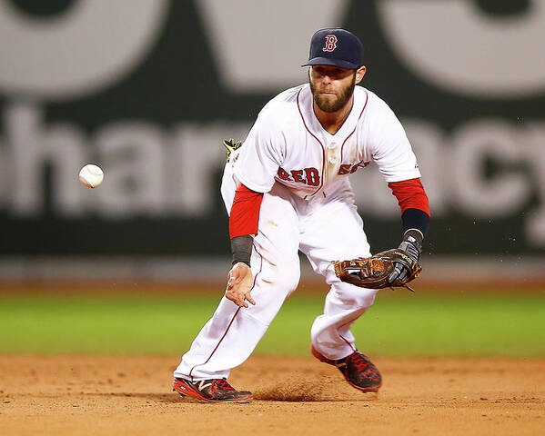 American League Baseball Poster featuring the photograph Dustin Pedroia by Jared Wickerham