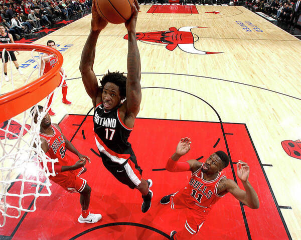 Nba Pro Basketball Poster featuring the photograph Ed Davis by Gary Dineen