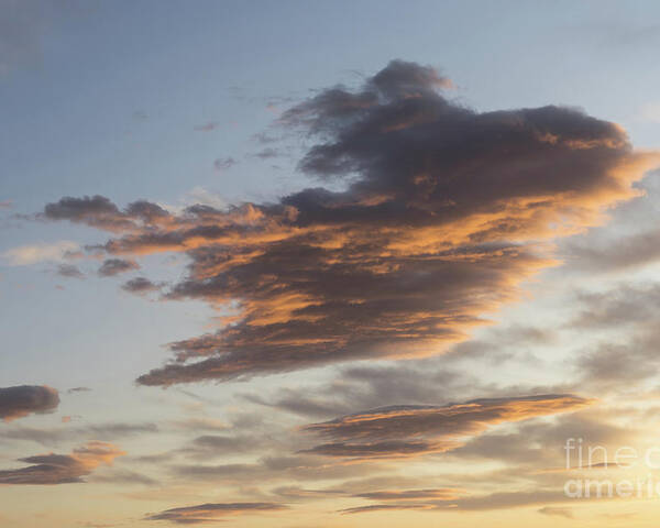 Clouds Poster featuring the photograph Cloud at sunset, like a bird by Adriana Mueller