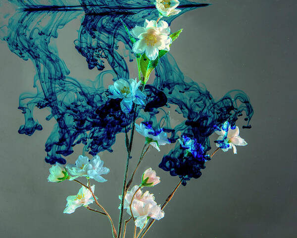 Floating Poster featuring the photograph Floating blue cloud surrounding flowers by Dan Friend