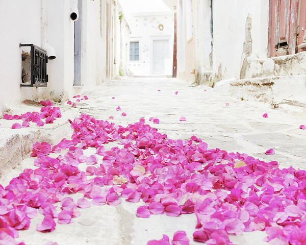 Greece Poster featuring the photograph Flower Carpet by Lupen Grainne