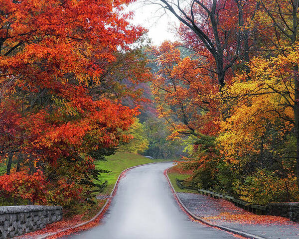 Autumn Poster featuring the photograph Majestic Autumn Road by Jessica Jenney