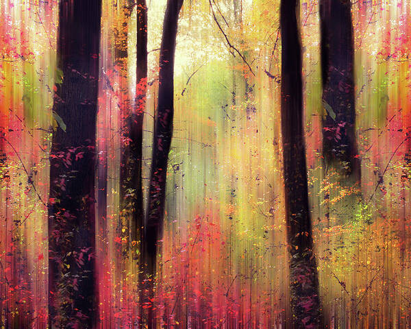 Forest Poster featuring the photograph Forest Frolic by Jessica Jenney