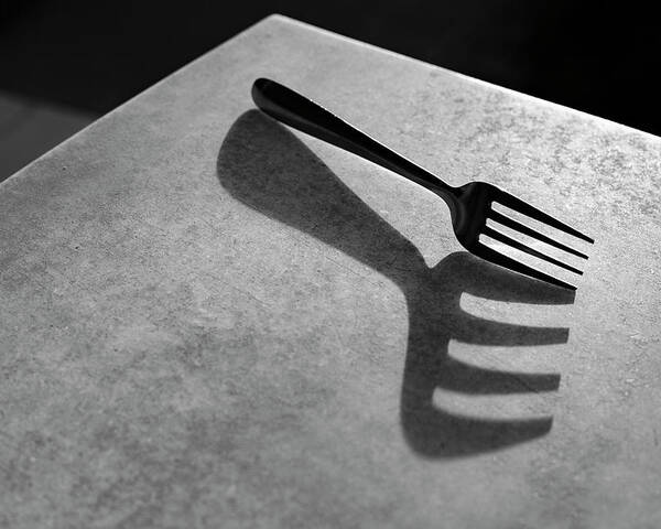 Minimalism Poster featuring the photograph Fork Shadow by Prakash Ghai