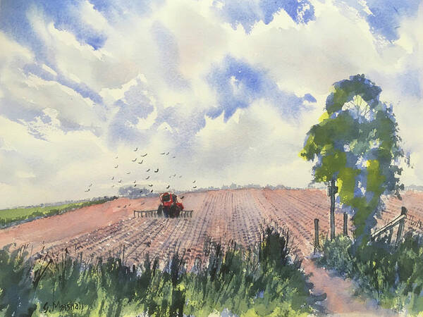 Watercolour Poster featuring the painting Furrows and Gulls by Glenn Marshall