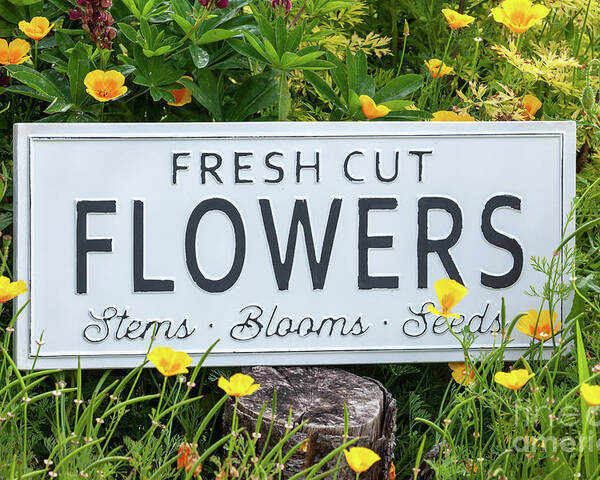 Flowers Poster featuring the photograph Garden flowers with fresh cut flower sign 0770 by Simon Bratt