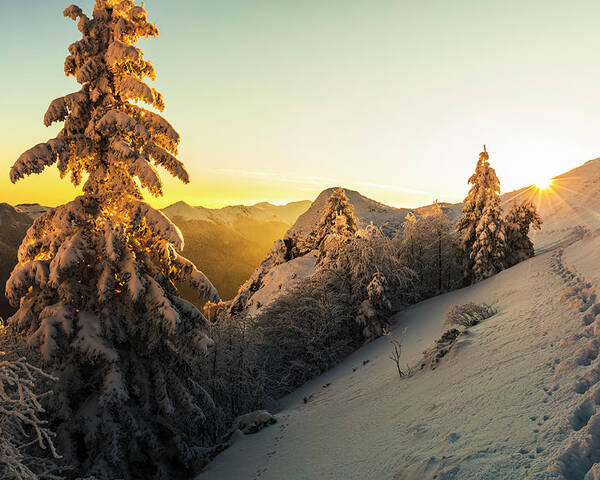 Balkan Mountains Poster featuring the photograph Golden Winter by Evgeni Dinev