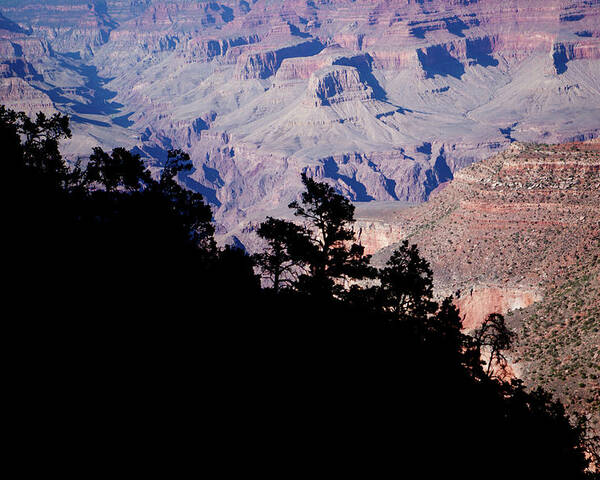 Grand Canyon Poster featuring the photograph Grand Canyon View by Rich S