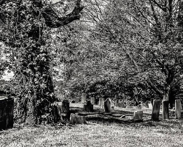 Grave Yard Tombstones Trees B&w Poster featuring the photograph Grave Yard1 by John Linnemeyer
