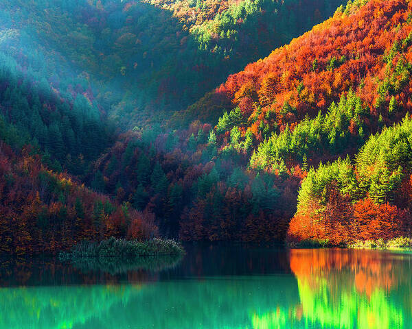 Bulgaria Poster featuring the photograph Green Lake by Evgeni Dinev