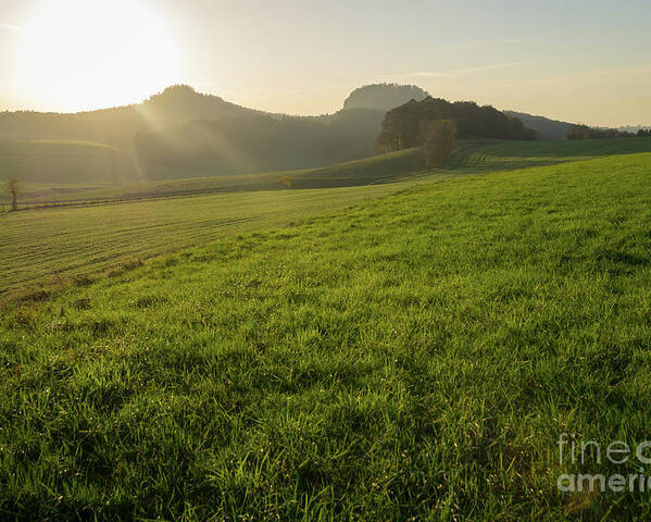 Saxon Switzerland Poster featuring the photograph Green meadow and golden light 1 by Adriana Mueller