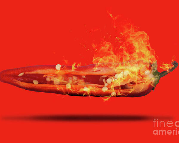 Red Poster featuring the photograph Half a red chili pepper on fire with seeds by Simon Bratt