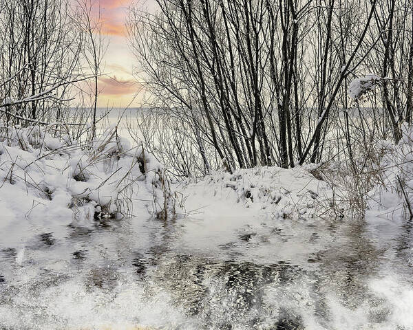 Snowy Beach Poster featuring the photograph Here Is The Snowy Beach in Jurmala by Aleksandrs Drozdovs