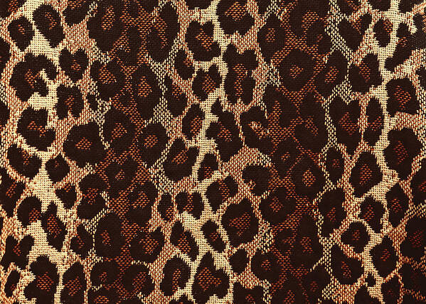 Leopard Print Poster featuring the photograph Leopard Print by Susan Rissi Tregoning