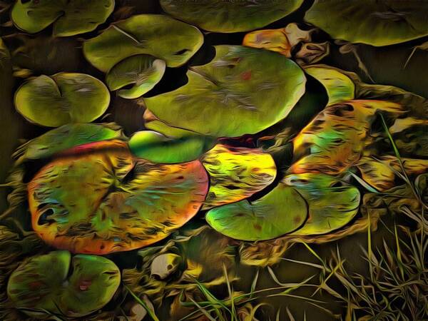Lily Poster featuring the mixed media Lily Pads by Christopher Reed