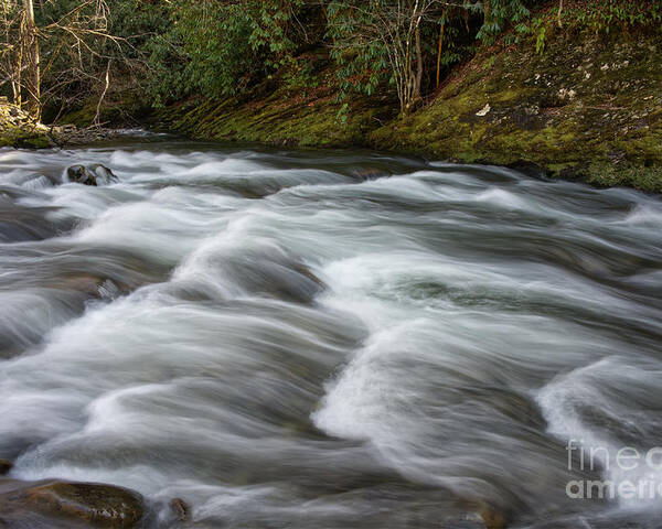 Smokies Poster featuring the photograph Little River Rapids 21 by Phil Perkins