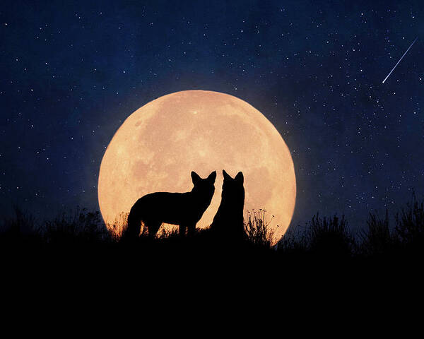 Coyote Poster featuring the digital art Moonrise by Nicole Wilde