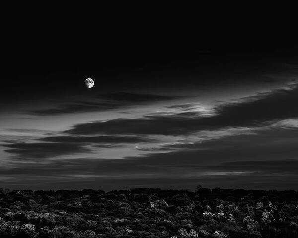 Monochromatic Poster featuring the photograph Moonswept in Monochrome by Rich Kovach