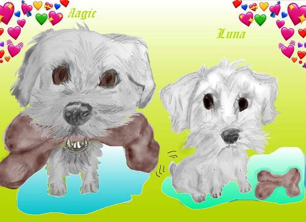 Schnoodle Magic Luna Sketch Digitally Colored Poster featuring the mixed media No Bones about it by Pamela Calhoun