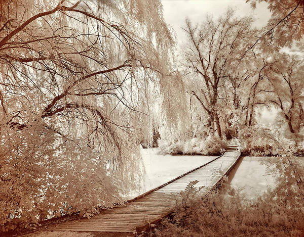Viking Park Poster featuring the photograph Norsk Gangsti - Norwegian Footpath - Infrared film image of bridge in Viking park near Stoughton WI by Peter Herman
