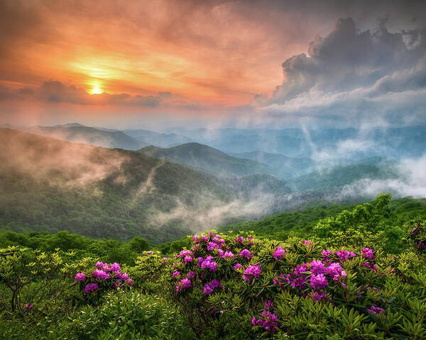 North Carolina Nc Blue Ridge Parkway Spring Flowers Appalachian Mountains Spring Flowers Craggy Gardens Asheville Western Nc Rhododendron Sunset Fog Clouds Dave Allen Landscape Photography Fine Art Smoky Mountains Blue Ridge Mountains Horizontal Sunrise Mountains Outdoor Nature Usa America Pink Purple Poster featuring the photograph North Carolina Blue Ridge Parkway Spring Appalachian Mountains NC by Dave Allen