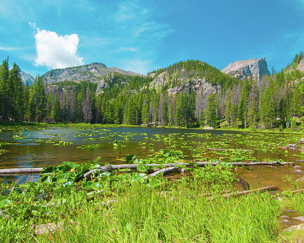 Nymph Lake Poster featuring the photograph Nymph Lake, Rocky Mountain National Park, Colorado, USA, North America by Tom Potter