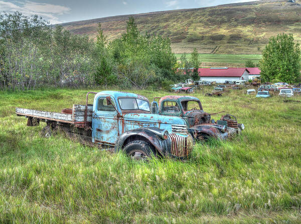 Ford Chevy Poster featuring the photograph Old Chevys at Ystafell Museum Iceland by Kristia Adams