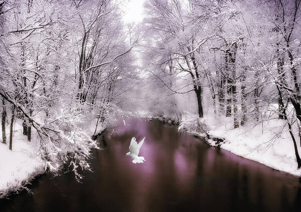 Snow Poster featuring the photograph Peace on Earth  by Jessica Jenney
