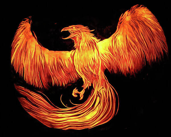 Phoenix Poster featuring the photograph Phoenix by Stuart Manning