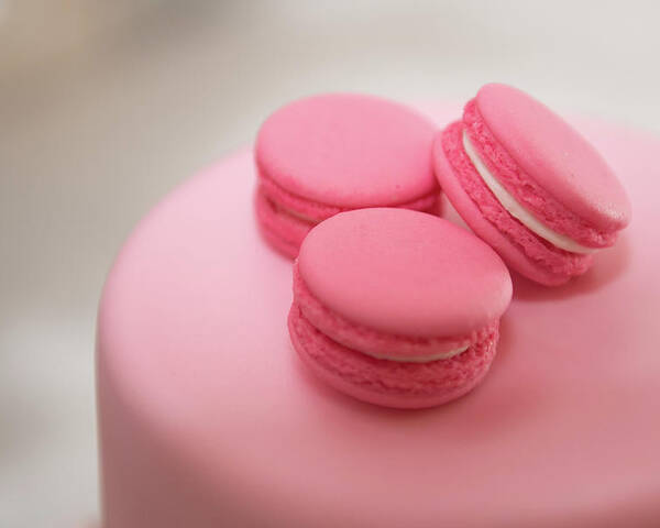 Macaroon Poster featuring the photograph Pink color french delicious macaroons cookies. Shallow dof by Michalakis Ppalis