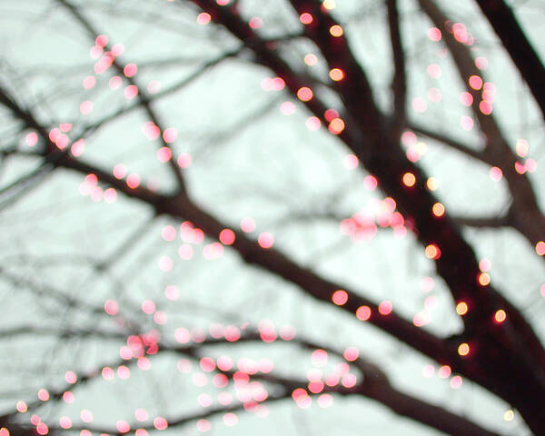 Tree Silhouette Poster featuring the photograph Pink Lights by Lupen Grainne