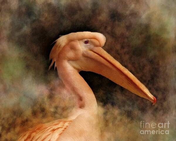 Pelican Poster featuring the mixed media Pink Pelican Bird 81 by Lucie Dumas