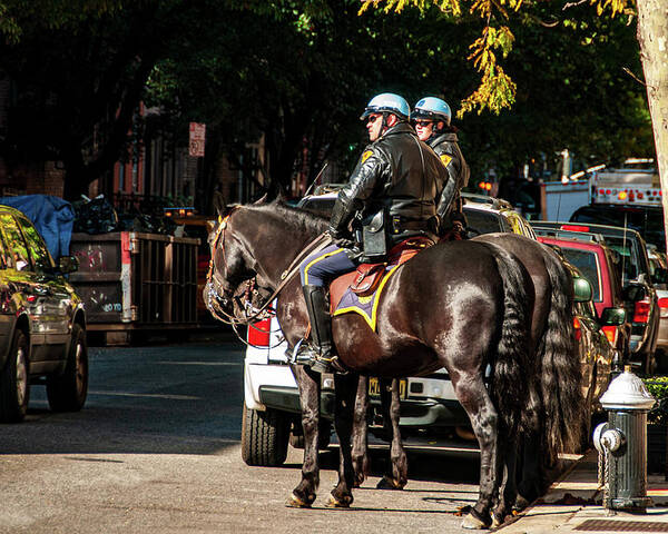 Chelsea Poster featuring the photograph Police on Horse Back in NYC by Louis Dallara