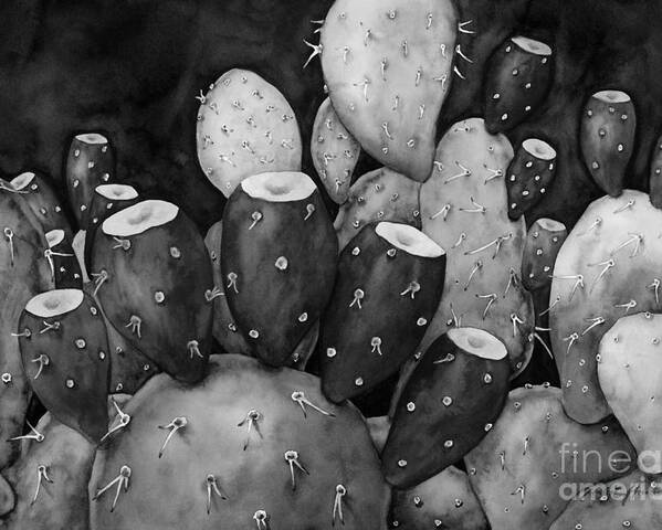 Cactus Poster featuring the painting Prickly Pear in Black and White by Hailey E Herrera