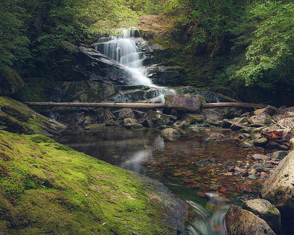 Waterfall Poster featuring the photograph Quiet Falls 2 by Michael Rauwolf