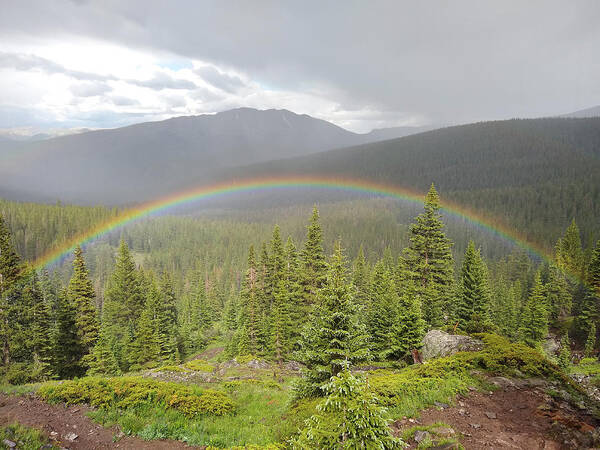Rainbow Poster featuring the photograph Rainbow in the Valley by Aaron Spong