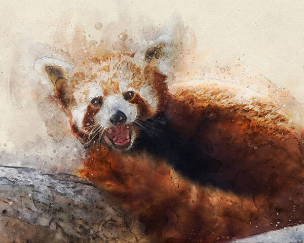 Red Panda Poster featuring the digital art Red Panda by Geir Rosset