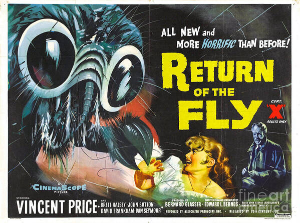 Return Poster featuring the photograph Return Of The Fly Vincent Price by Action