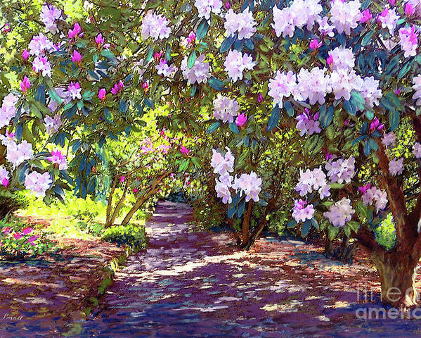Floral Poster featuring the painting Rhododendron Garden by Jane Small