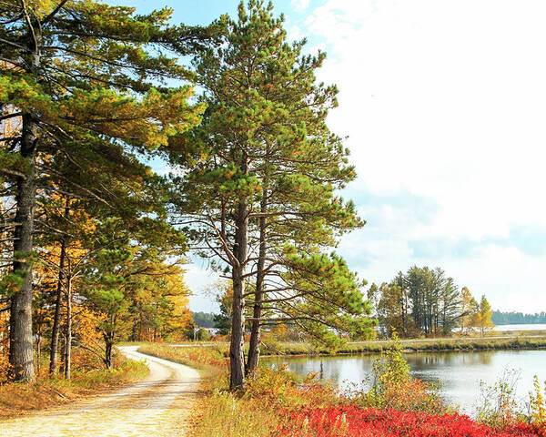 Seney National Wildlife Refuge Poster featuring the photograph Road Through the Wildlife Refuge by Robert Carter