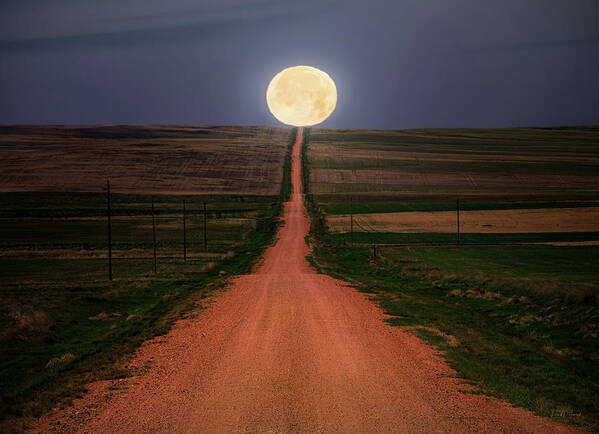 Nature Poster featuring the photograph Road to the Moon by Leland D Howard