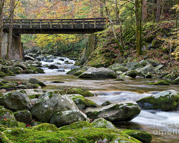 Autumn Poster featuring the photograph Rustic Wooden Bridge by Phil Perkins