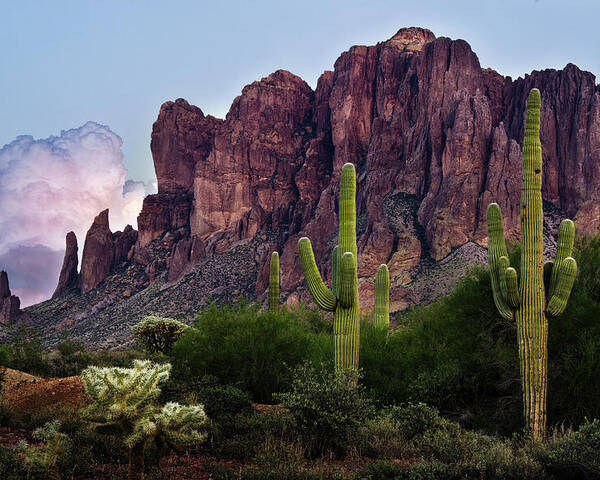 Cactus Poster featuring the photograph Saguaro Cactus and the Superstition Mountains by Dave Dilli