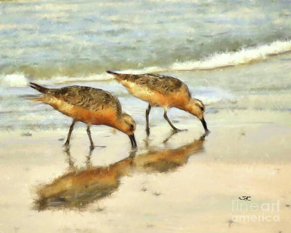 Sand Pipers Poster featuring the digital art Sand Pipers by Stacey Carlson