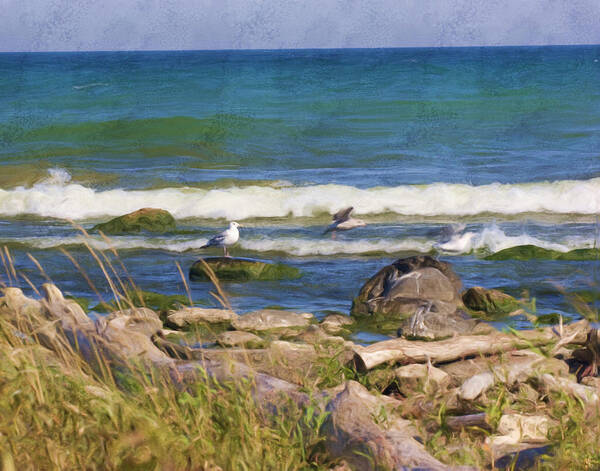 Sea Birds Poster featuring the digital art Sea Birds by Stacey Carlson