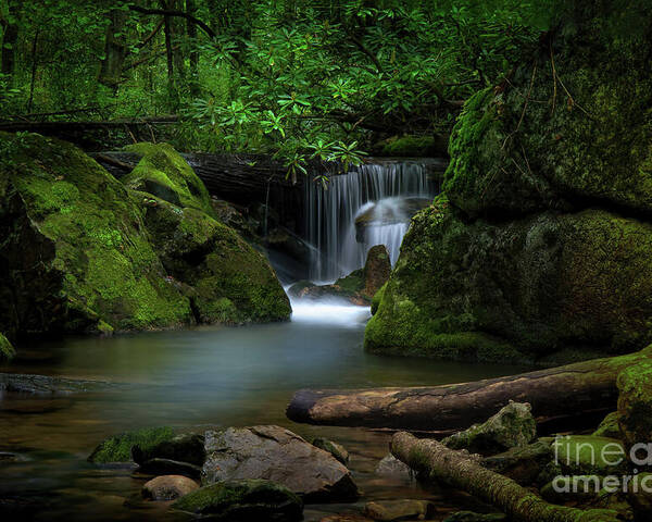 Waterfall Poster featuring the photograph Secluded Waterfall by Shelia Hunt