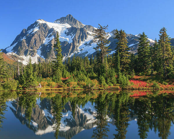 Mt. Shuksan Poster featuring the photograph Shuksan Reflection by Michael Rauwolf
