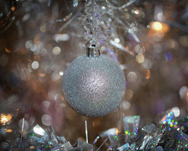 Silver Poster featuring the photograph Silver Ball on Silver Tree by Lora J Wilson
