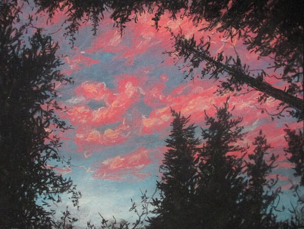 Forest Sky Poster featuring the painting Sky's Passion by Jen Shearer